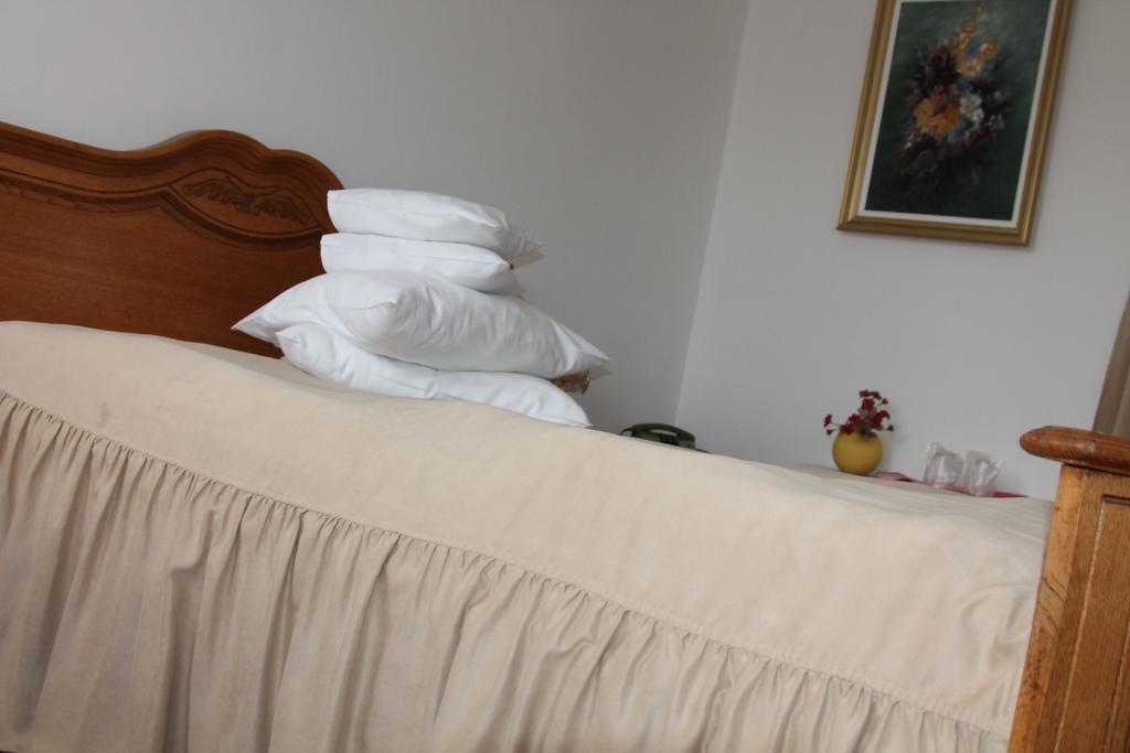 Hotel Zimbru 坎普朗莫道尼斯 客房 照片